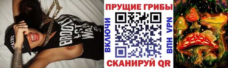 продажа наркотиков  Абдулино  Галлюциногенные грибы Magic Shrooms 